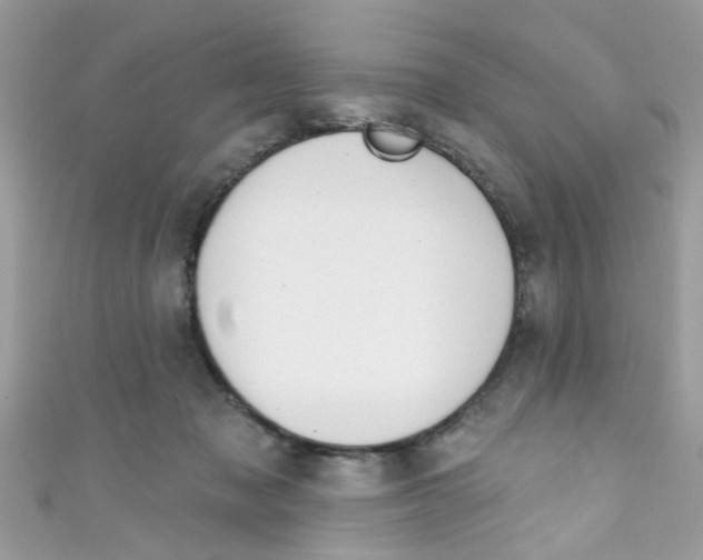 X0000111020317200907171900