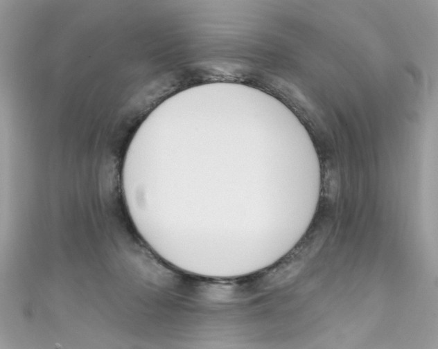 X0000111020318200907171900