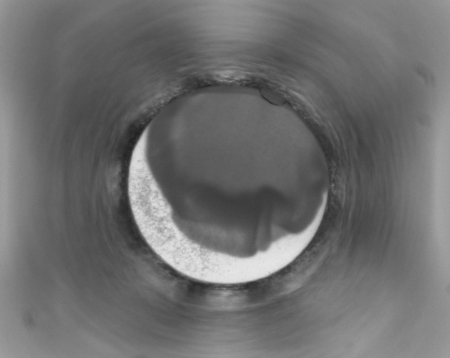 X0000111020319200907171900