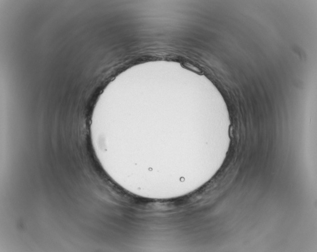 X0000111020320200907171900