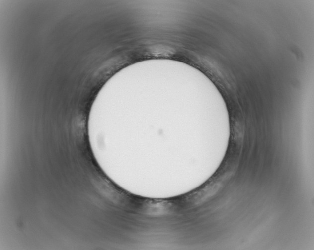 X0000111020321200907171900