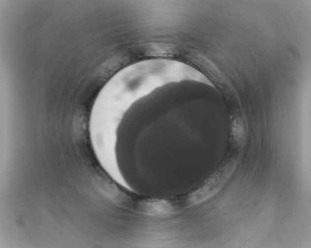 X0000111020322200907171900