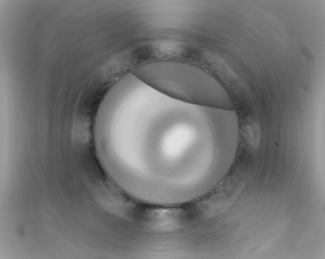 X0000111020323200907171900