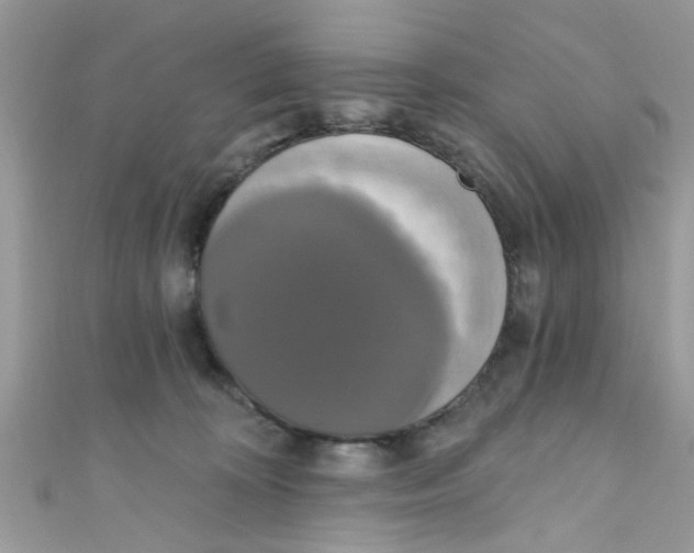 X0000111020324200907171900