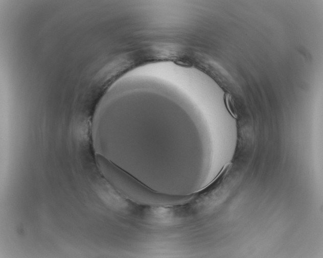 X0000111020325200907171900