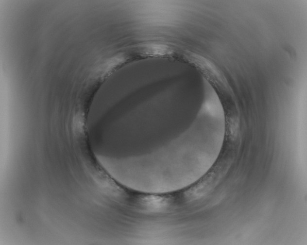 X0000111020326200907171900