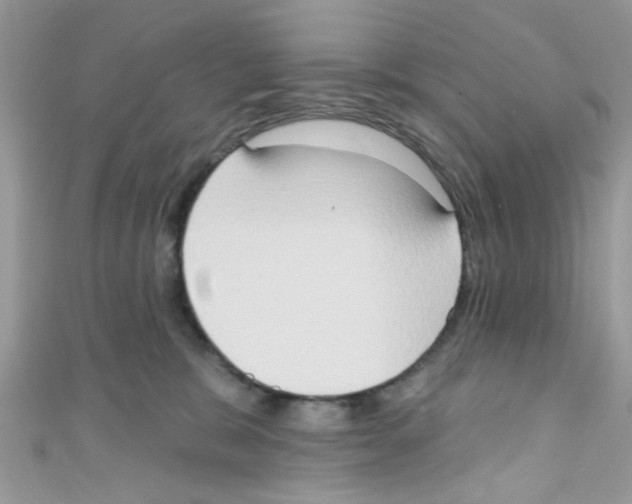 X0000111020327200907171900
