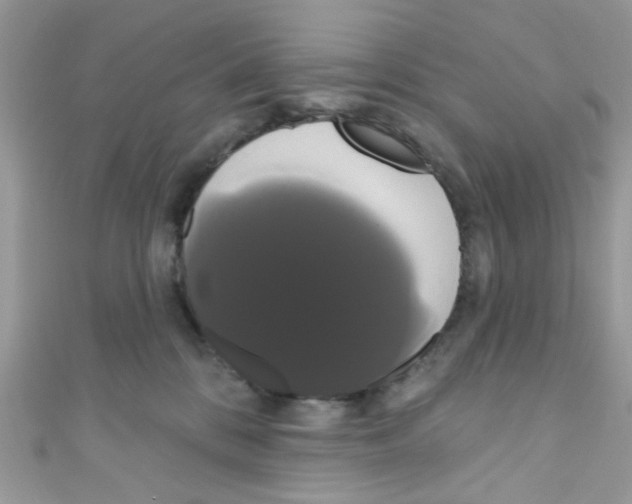 X0000111020328200907171900