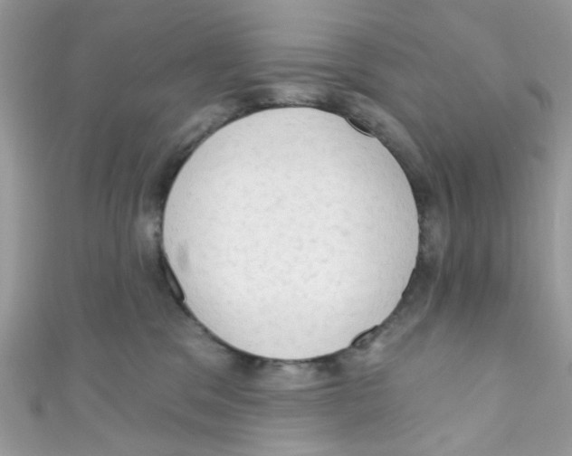 X0000111020329200907171900