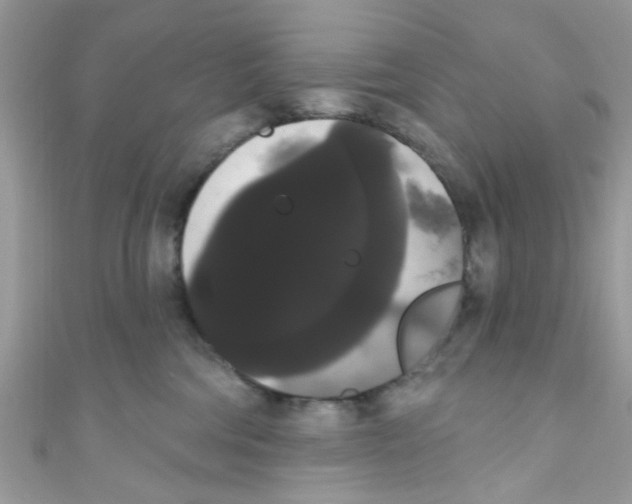 X0000111020330200907171900