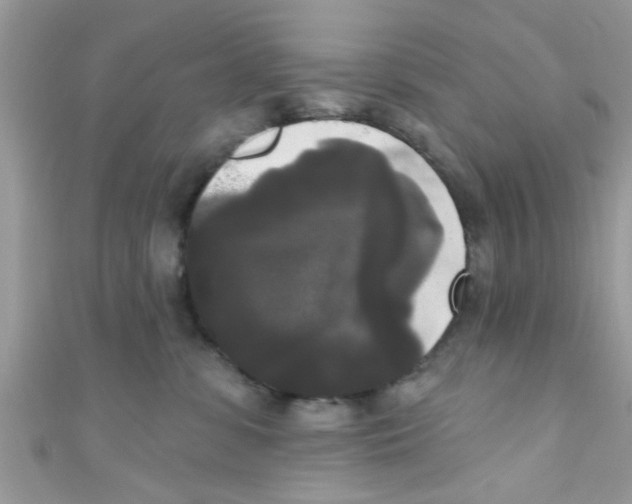 X0000111020331200907171900