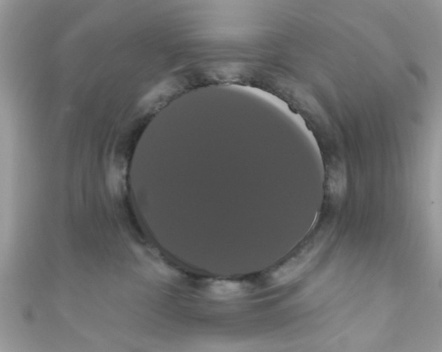 X0000111020332200907171900