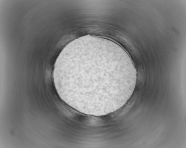 X0000111020333200907171900