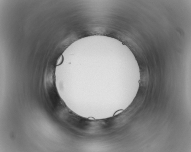 X0000111020334200907171900