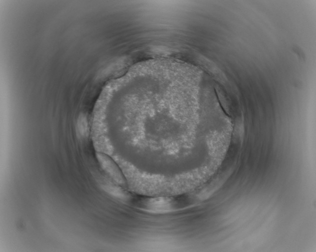 X0000111020335200907171900