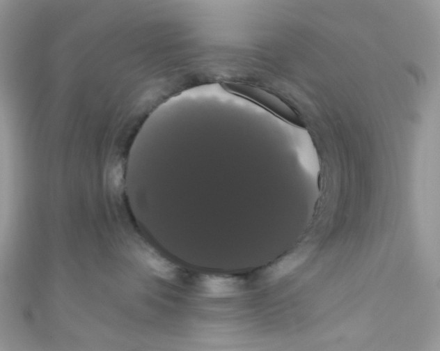 X0000111020336200907171900