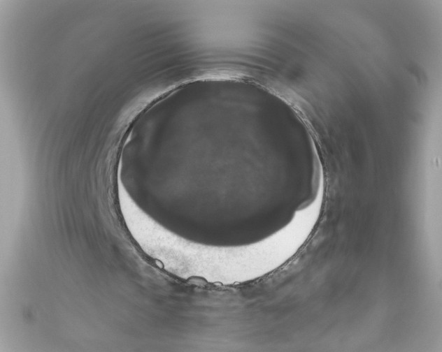X0000111020337200907171859