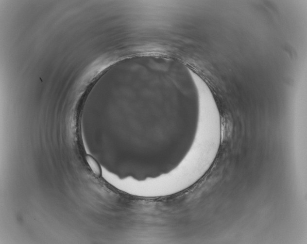 X0000111020339200907171859