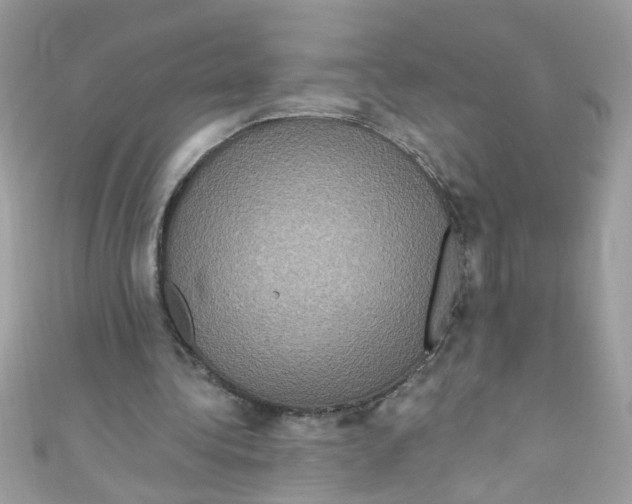 X0000111020340200907171859
