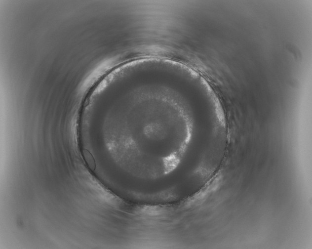 X0000111020341200907171859