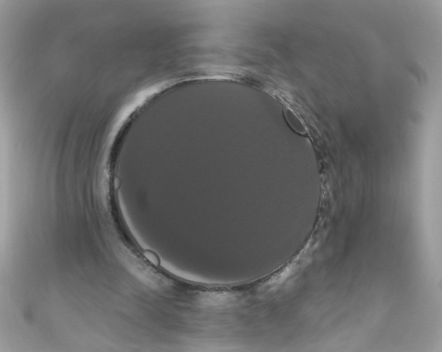 X0000111020342200907171859