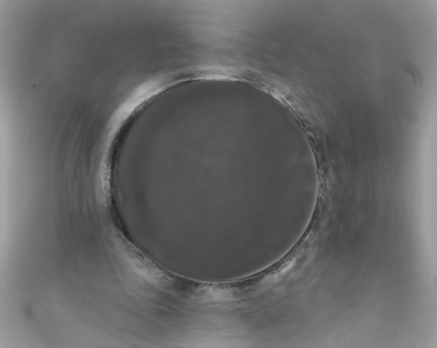 X0000111020343200907171859
