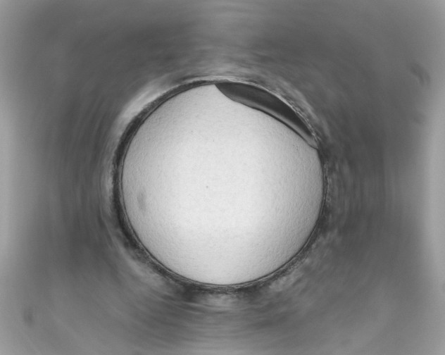 X0000111020344200907171859