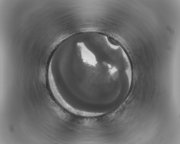 X0000111020345200907171859