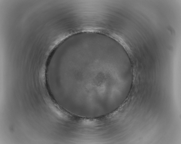 X0000111020346200907171859