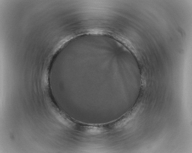 X0000111020347200907171859