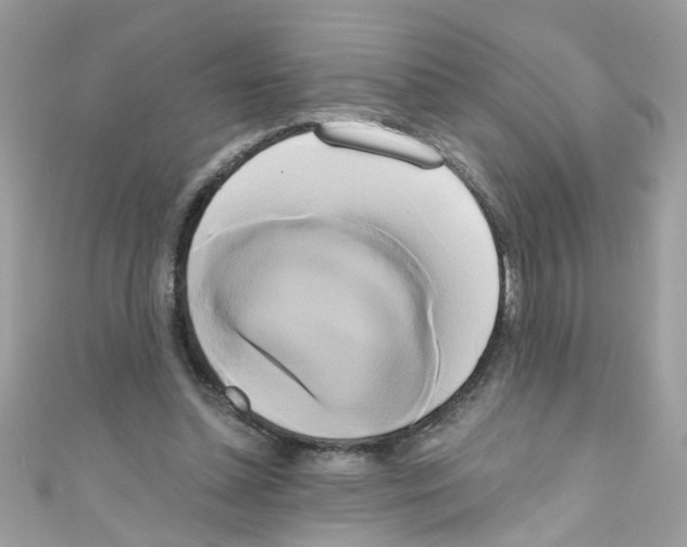 X0000111020348200907171859