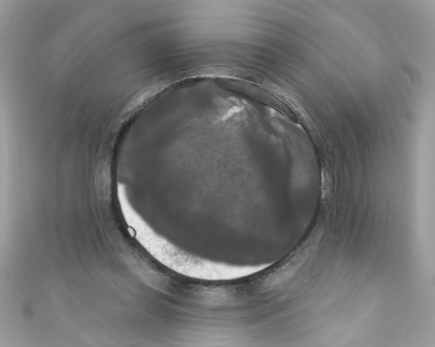 X0000111020349200907171900