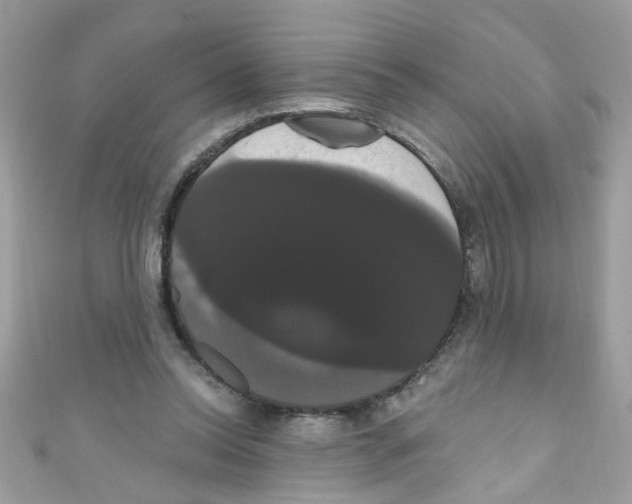 X0000111020350200907171900