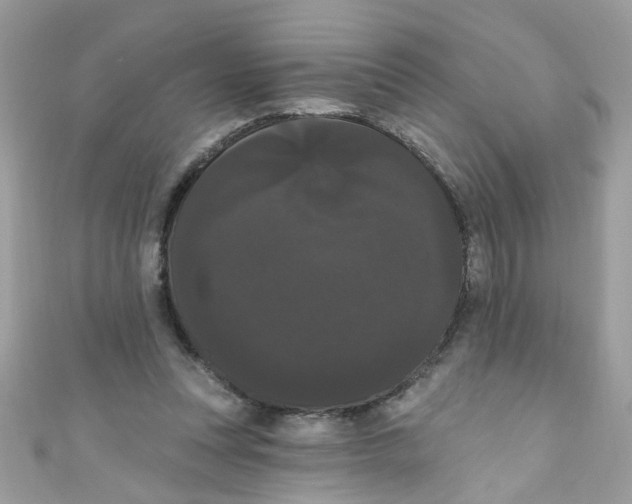 X0000111020351200907171900