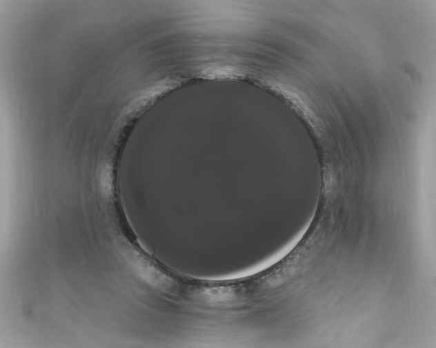 X0000111020353200907171900