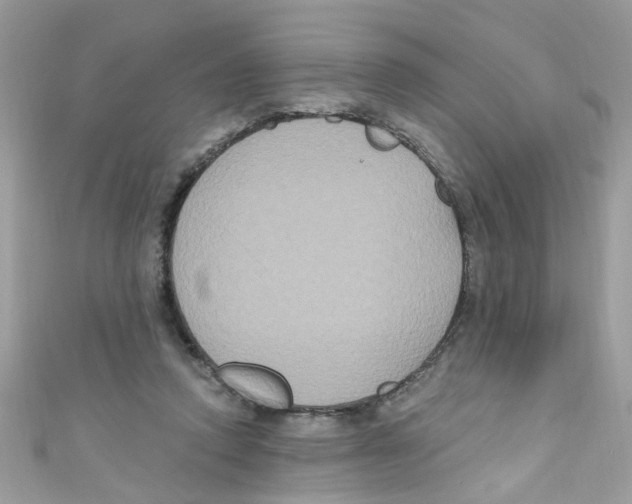 X0000111020354200907171900