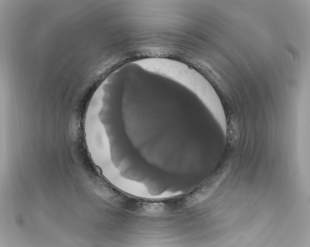 X0000111020355200907171900