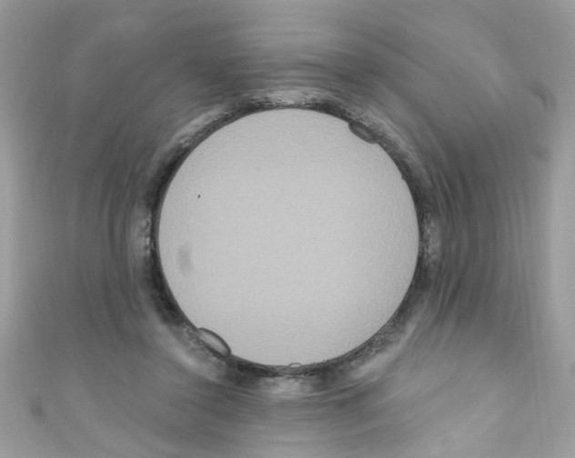 X0000111020356200907171900