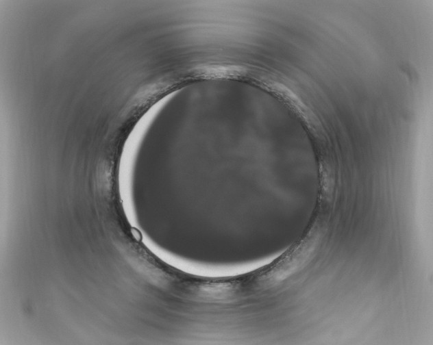 X0000111020357200907171900