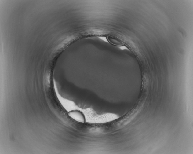 X0000111020358200907171900