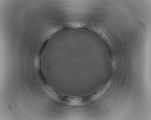 X0000111020359200907171900