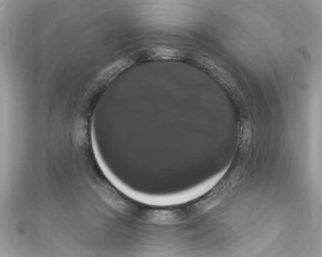 X0000111020361200907171900