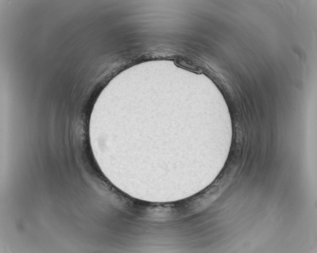 X0000111020362200907171900