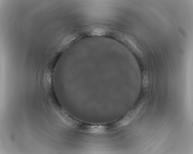 X0000111020363200907171900