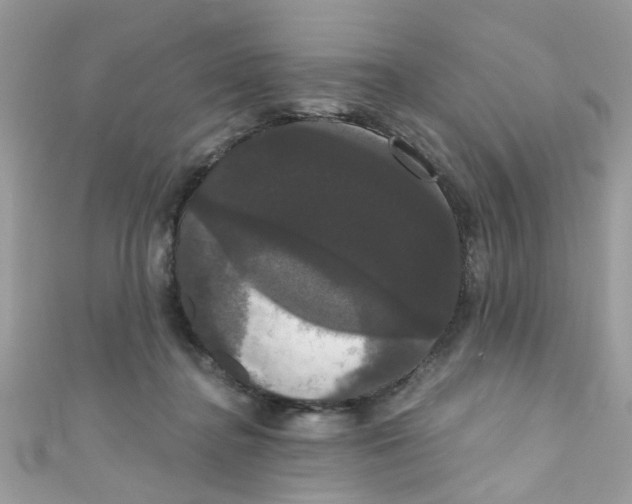 X0000111020364200907171900