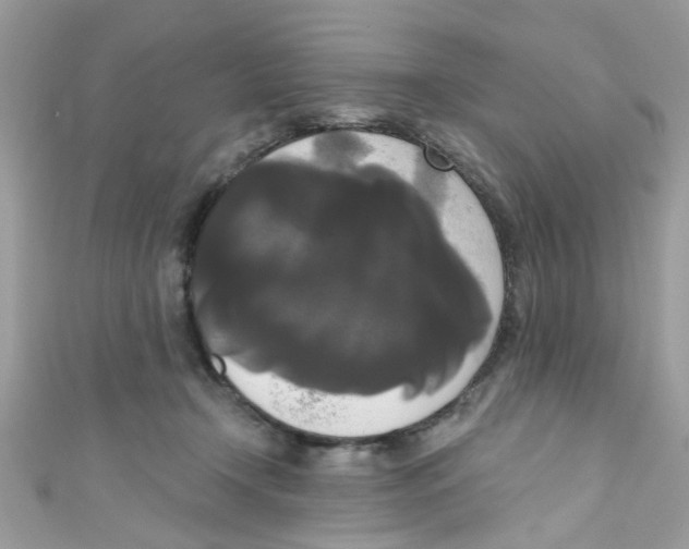 X0000111020366200907171900