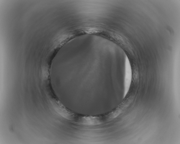 X0000111020367200907171900