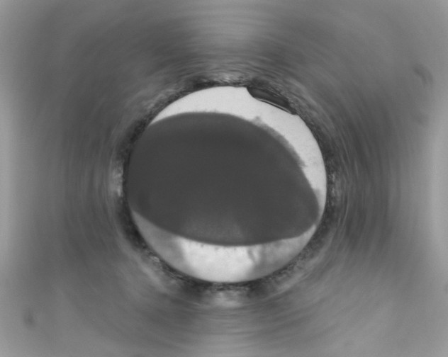 X0000111020368200907171900