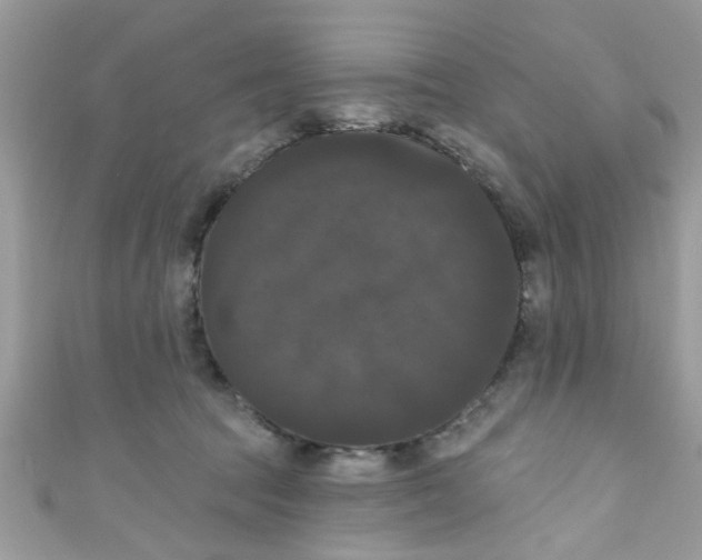 X0000111020369200907171900