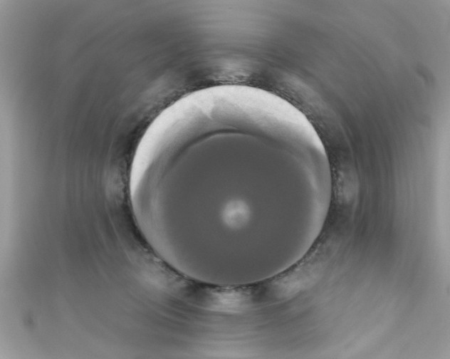 X0000111020370200907171900